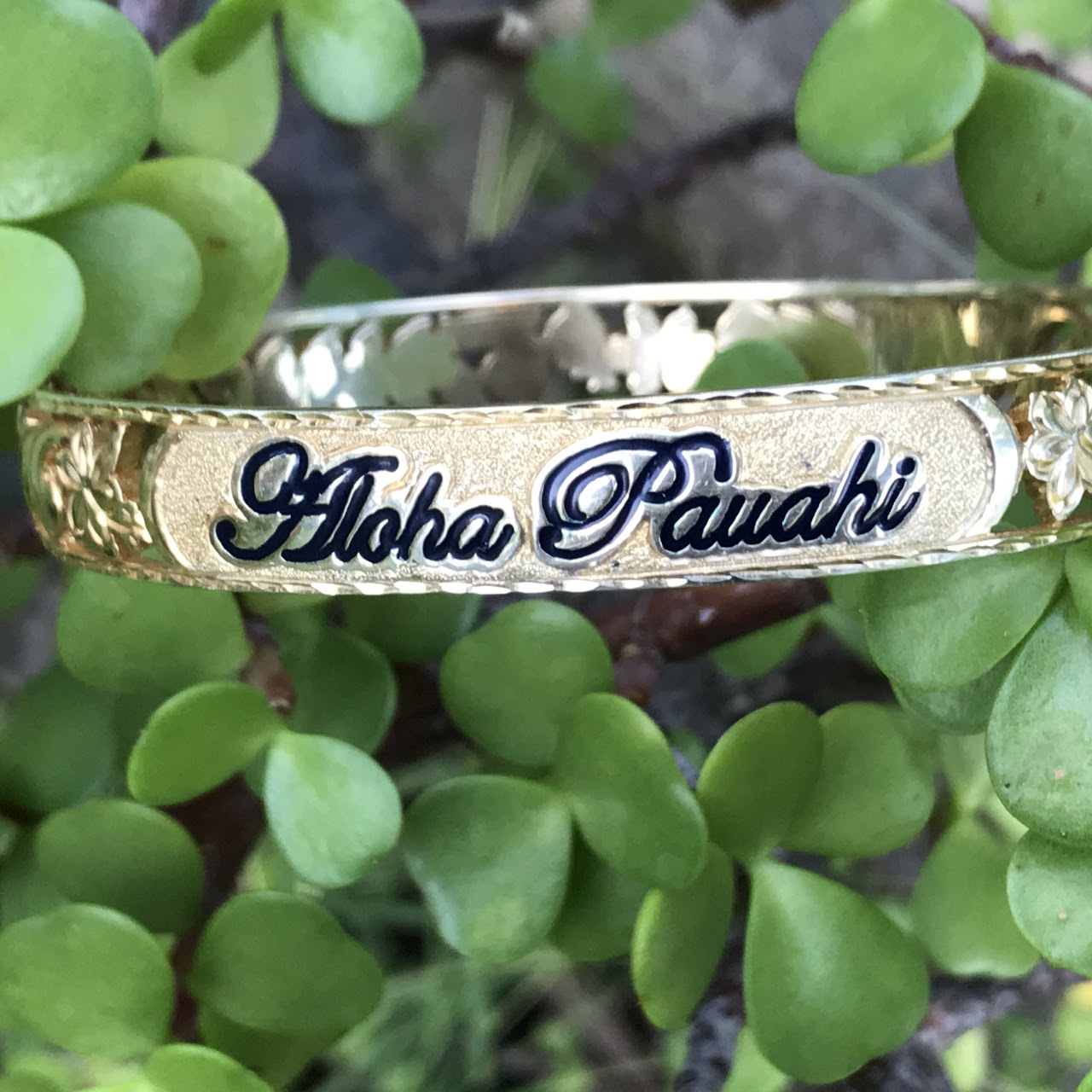 Aloha Pauahi 10mm yellow gold plated sterling silver filigree Hawaiian heirloom bangle with black enamel script among jade plant leaves, handcrafted by Jewel Box Hawaii in Honolulu.